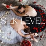 Silk Level - Livemaster - handmade