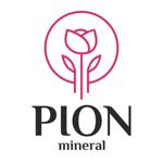 pionmineral