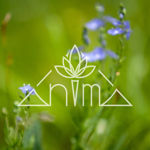 anima55