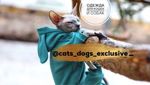 Odezhda dlya koshek i sobak  #CATS_DOGS_EXCLUSIVE_ - Livemaster - handmade