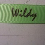 wildy