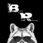 blackraccoon