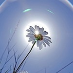 Аватар покупателя