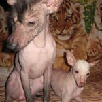 Марина