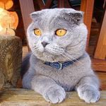 Oksana - Livemaster - handmade