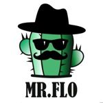 mr-flo