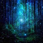 magicwoodstore