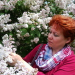 LifeShine (Елена) LifeShine (Елена)