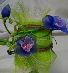 luz-las-flores