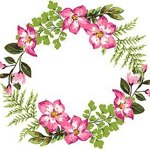 ellescrap