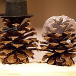 woodwed