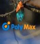 PolyMax - Livemaster - handmade