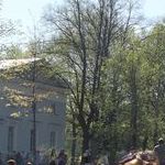 elena-a-smirnov