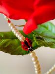 Viktoriya - Livemaster - handmade