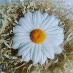 Radiance clay - Livemaster - handmade