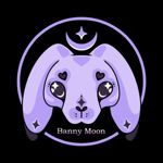 Banny Moon Toys - Livemaster - handmade