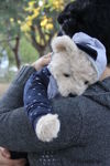 greenbear - Livemaster - handmade