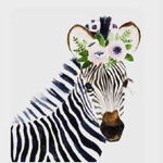 zebra-hobby