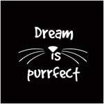 dream-is-purrfect