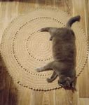 lisa_vyazhet (Olga) - Livemaster - handmade