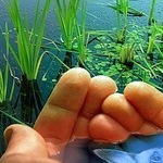 Аватар покупателя
