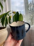 wiwi-ceramics