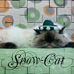 snow-cat