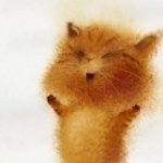 sunny-kitten