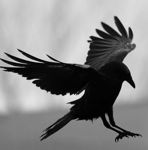 Аватар покупателя