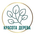 krasota-dereva-1