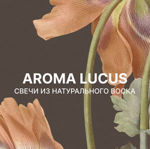 aroma-lucus