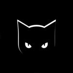 black-cat-2