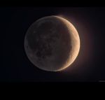 modest-moon