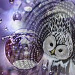 charmedstore