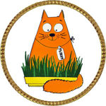 orange-cat-charity