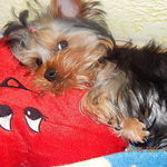 mix-mila