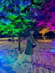 artgellikk