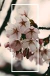 Nadezhda-gnusina - Livemaster - handmade