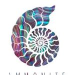 Ammonite studio - Livemaster - handmade