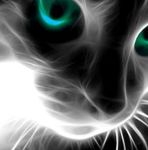 akrilka-art