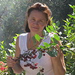 sladkie-buketi