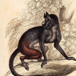 artecaluroso