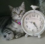 YuLYaKA - Livemaster - handmade