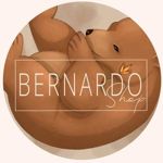 Bernardo shop - Livemaster - handmade