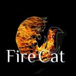 fire-cat-1