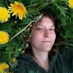 Anastasiya Schegoleva (Enviel) - Ярмарка Мастеров - ручная работа, handmade