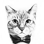 Masterskaya «Lucky cat» - Livemaster - handmade