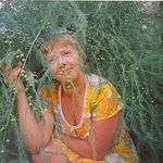 anekrasova