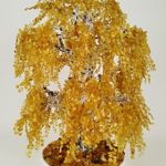 amber-nature