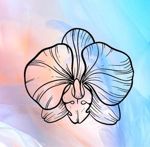 miltonia-ceramics